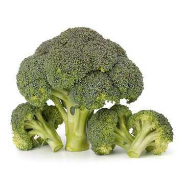 Broccoli