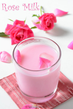 Hot Rose Milk Flask 300 Ml