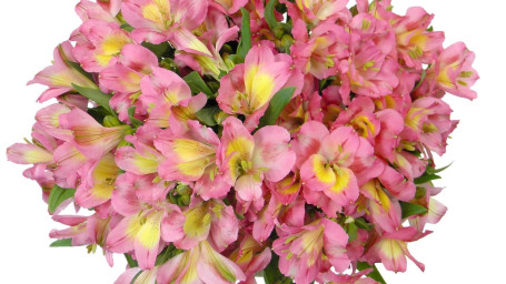 Buchet De Tulpini Alstroemeria 7