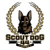 Scout Dog 44