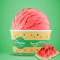 Watermelon Wonder Sorbet