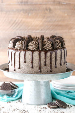 Cake Oreo Chocolate[500Gm]