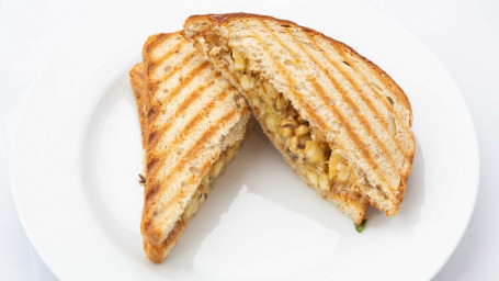 The Gladiator Panini