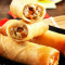 Chicken Schezwan Spring Rolls