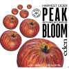 Peak Bloom Harvest Cider