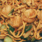 Malaysian Style Mee Goreng