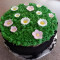 Fruit Garden Cake(Half Kg