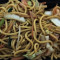 Lo6. Vegetable Lo Mein