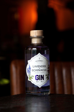 Old Curiosity Lavender Echinacea Gin