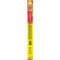 Slim Jim Deli Style Stick 1,8 Oz