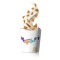 Mcflurry Lotus Speculoos