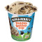 Ben Jerrys Peanut Butter Cup