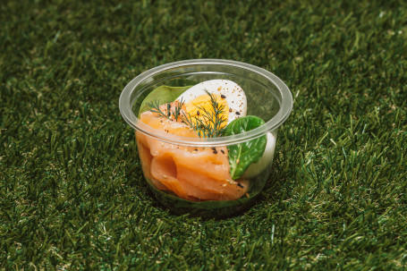 Salmon Egg Protein Pot