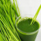 1 Lb Organic Wheatgrass Bag