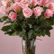 24 Long Stem Pink Roses