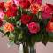 24 Mixed Rose Bouquet