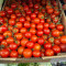 Cherry Tomato (Per Kg)