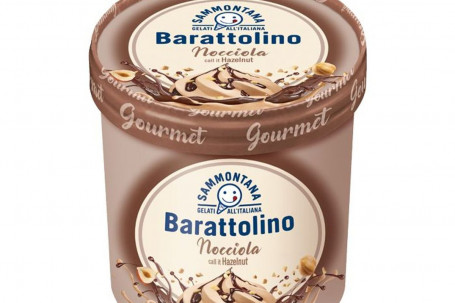 Barattolino Hazelnut 500G