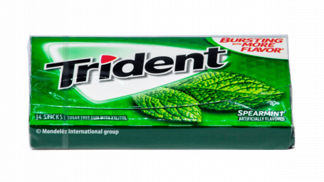 Trident 14 Stk Mentă