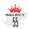 Budweiser Select 55