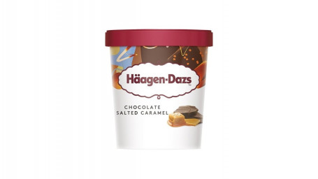 Haagen-Dazs Salted Caramel Chocolate (1 Pint)