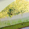 Matcha White Chocolate Mousse Cake