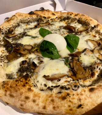 Truffle, Mushroom Burrata Pizza