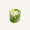 Wasabi Yellowtail Spring Roll (6 Pieces) New!