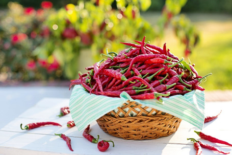 Brânză Chili