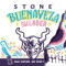 2. Stone Buenaveza Salt Lime Lager