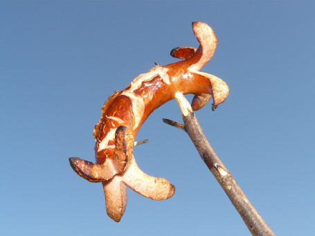 Cumberland Sausages Și Piure