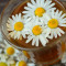 Chamomile Citrus