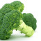 Broccoli Roman Italian