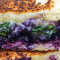 Balsamic Blueberry Grilled Cheese