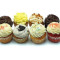 *New* Eight Cupcake Combo (Large Size Cupcake)