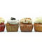 *New* Four Cupcake Combo (Large Size Cupcake)