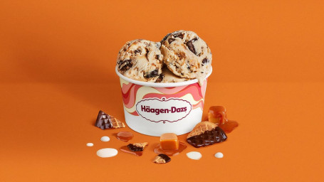 Choose 3 Flavors Regular Ice Cream Cup 9Oz