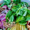 Quinoa Garden Bowl With Ranch Dressing