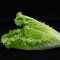Salată romaine Salată romaine