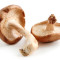 Ciuperci Shiitake