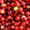 Cranberry